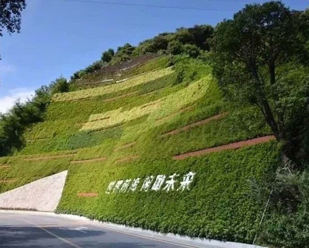 水土保持监测